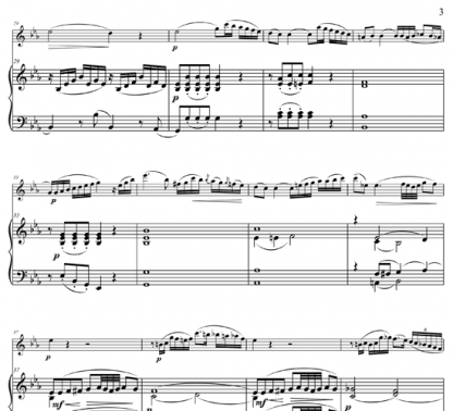 Adagio for flute and piano | ScoreVivo