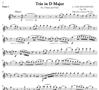 Trio in D Major for two flutes and viola | ScoreVivo