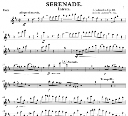 Serenade, Op 80 for flute and string orchestra | ScoreVivo
