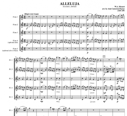 Alleluja for flute ensemble | ScoreVivo