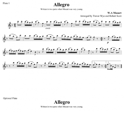 Allegro for Six Flutes and Piano | ScoreVivo