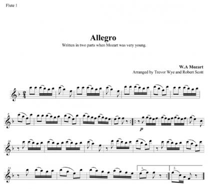 Allegro for Two Flutes and Piano | ScoreVivo