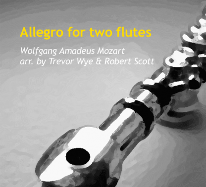Allegro for Two Flutes and Piano | ScoreVivo