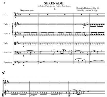 Serenade in D major, Op 65 for flute and string ensemble | ScoreVivo