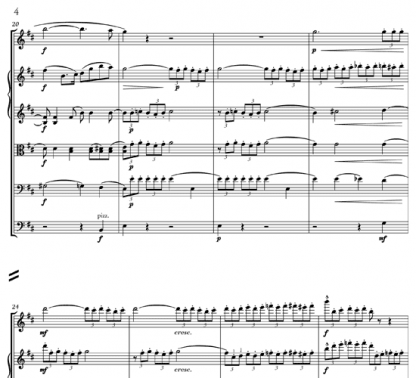 Serenade in D major, Op 65 for flute and string ensemble | ScoreVivo