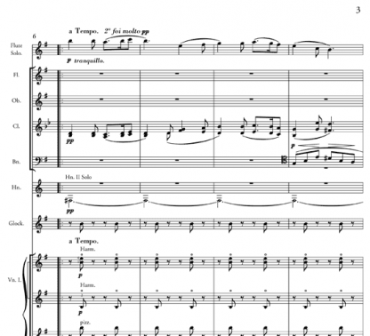 Deux Morceaux, Op. 28 for orchestra | ScoreVivo