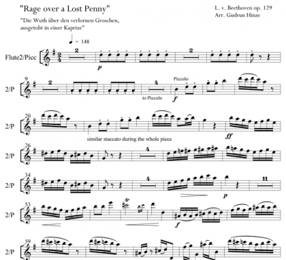 Rage Over a Lost Penny for flute ensemble | ScoreVivo