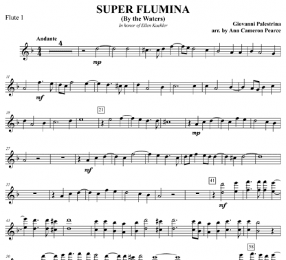 Super Flumina for flute ensemble | ScoreVivo