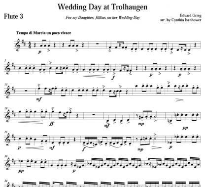 Wedding Day at Trolhaugen for flute ensemble | ScoreVivo