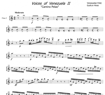 Voices of Venezuela II for flute ensemble | ScoreVivo