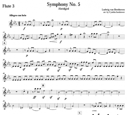 Symphony No. 5 for flute ensemble | ScoreVivo