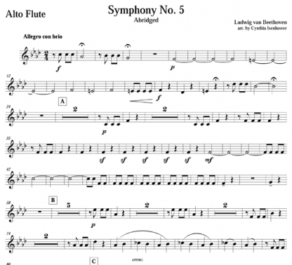 Symphony No. 5 for flute ensemble | ScoreVivo