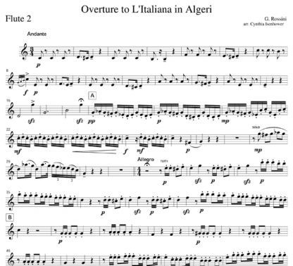 Overture to L'Italiana in Algeri for flute ensemble | ScoreVivo