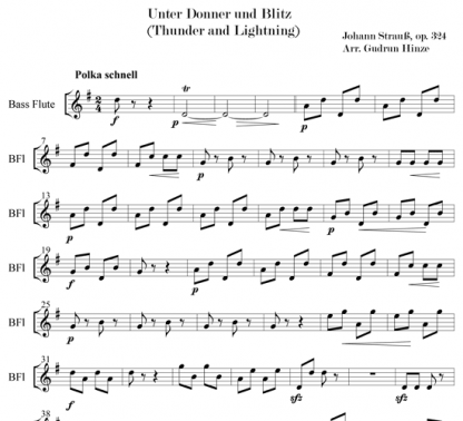 Thunder and Lightning (Unter Donner und Blitz) for flute ensemble | ScoreVivo