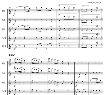 Thunder and Lightning (Unter Donner und Blitz) for flute ensemble | ScoreVivo