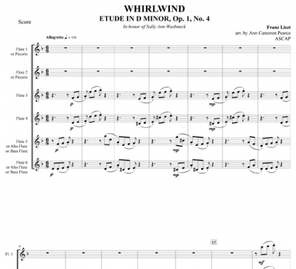 Whirlwind for flute ensemble | ScoreVivo