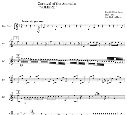 Carnival of the Animals: Aviary for flute ensemble | ScoreVivo