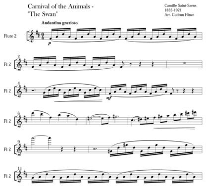 Carnival of the Animals: The Swan for flute ensemble | ScoreVivo