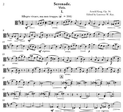 Serenade Sextet, Op 34 for flute and string orchestra | ScoreVivo