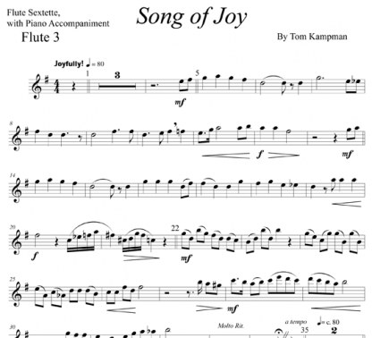 Song of Joy for flute and piano | ScoreVivo