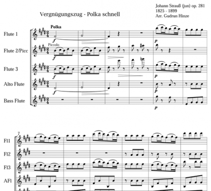 Polka Schnell for flute quintet | ScoreVivo