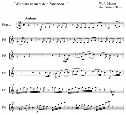 Wie stark ist nicht dein Zauberton for flute quintet | ScoreVivo