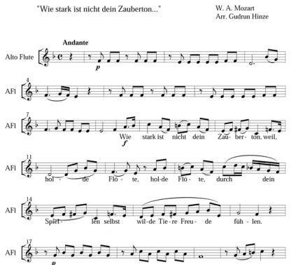 Wie stark ist nicht dein Zauberton for flute quintet | ScoreVivo
