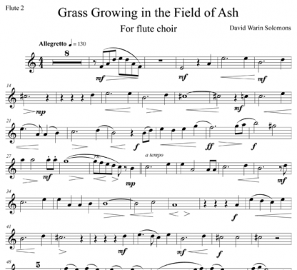 Grass Growing in the Field of Ash for flute septet | ScoreVivo