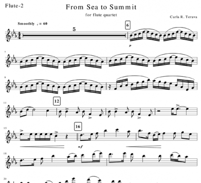 From Sea to Summit for flute quartet | ScoreVivo
