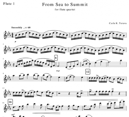 From Sea to Summit for flute quartet | ScoreVivo
