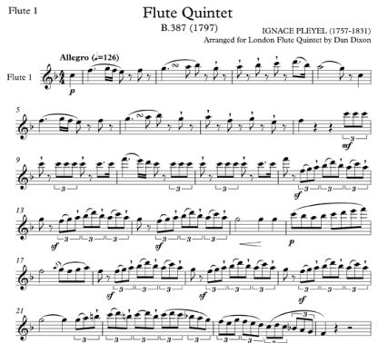 Flute Quintet B 387 for flute quintet | ScoreVivo