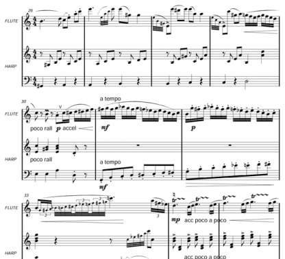 Cadenzas for Mozart's Flute and Harp Concerto | ScoreVivo