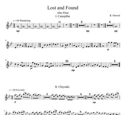Lost and Found for flute sextet | ScoreVivo