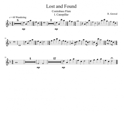 Lost and Found for flute sextet | ScoreVivo