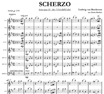 Scherzo from Op 24 for flute and string | ScoreVivo