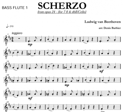 Scherzo from Op 24 for flute and string | ScoreVivo