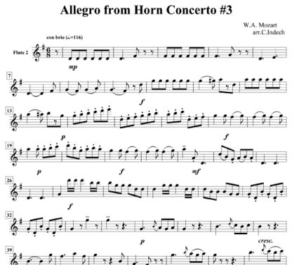 Allegro from Horn Concerto No 3 for flute quintet | ScoreVivo
