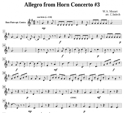 Allegro from Horn Concerto No 3 for flute quintet | ScoreVivo
