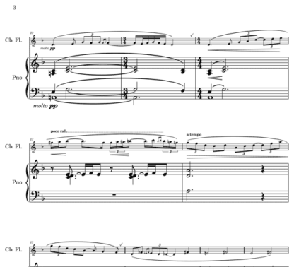 Elegie for contrabass flute and piano | ScoreVivo
