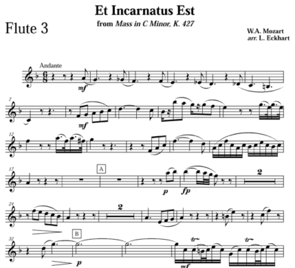 Et Incarnatus Est for flute octet | ScoreVivo