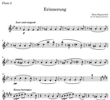 Erinnerung, Op. 24 for flute septet | ScoreVivo
