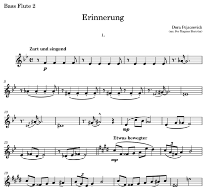 Erinnerung, Op. 24 for flute septet | ScoreVivo