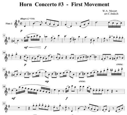 Horn Concerto No 3 Movement 1 for flute sextet | ScoreVivo
