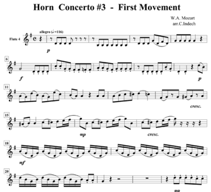 Horn Concerto No 3 Movement 1 for flute sextet | ScoreVivo