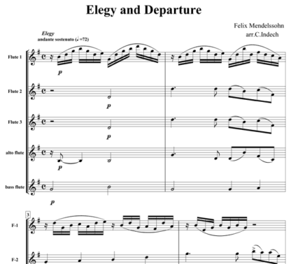 Elegy and Departure for flute quintet | ScoreVivo