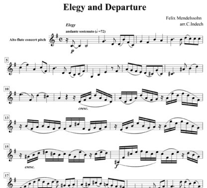 Elegy and Departure for flute quintet | ScoreVivo