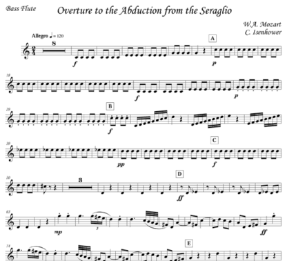 Overture to the Abduction from the Seraglio for flute nonet | ScoreVivo