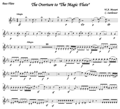 Overture to The Magic Flute for flute octet | ScoreVivo