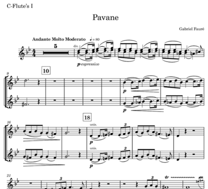 Pavane for flute nonet | ScoreVivo
