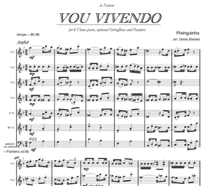 Vou Vivendo for flute septet and percussion | ScoreVivo